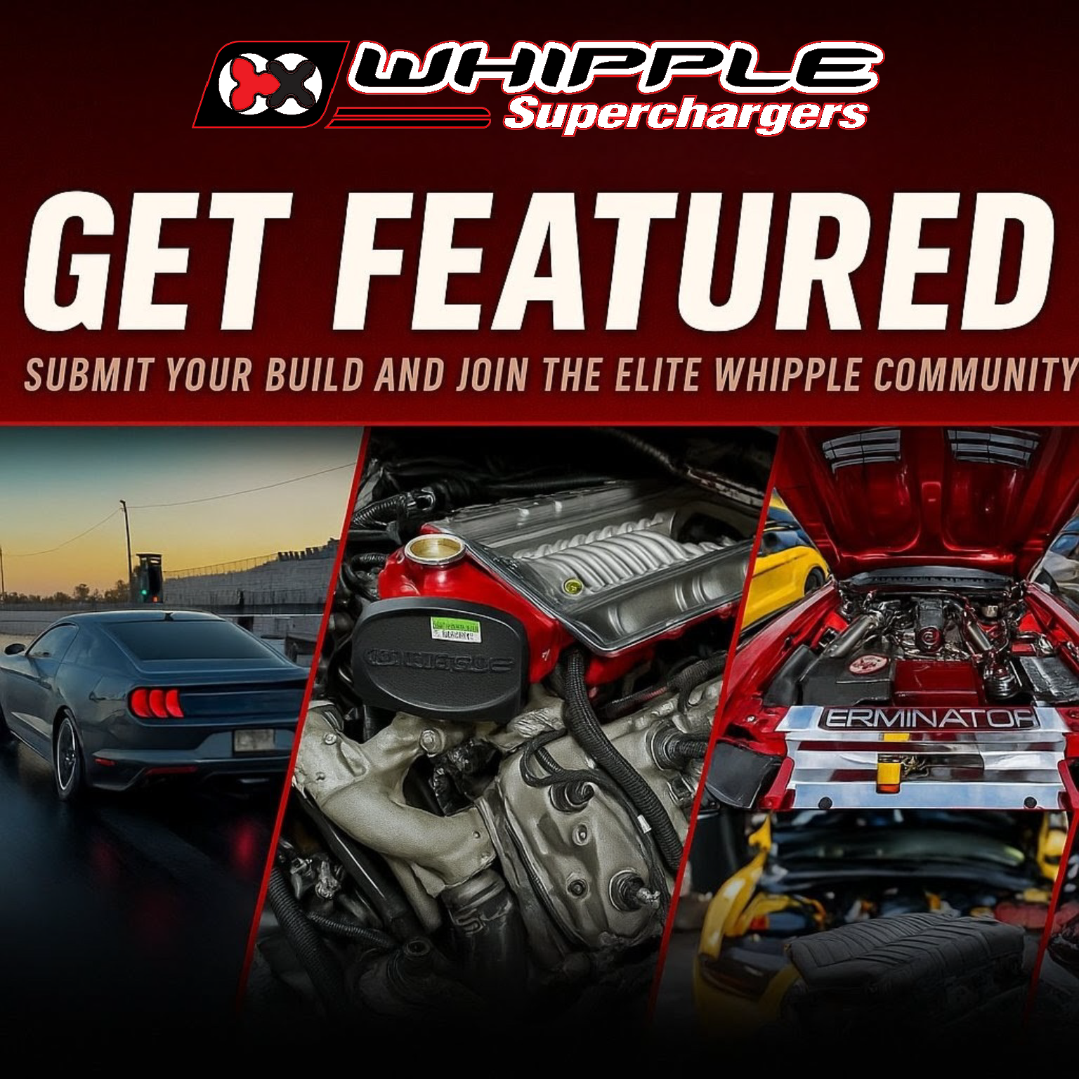 Whipple Superchargers – Get Featured