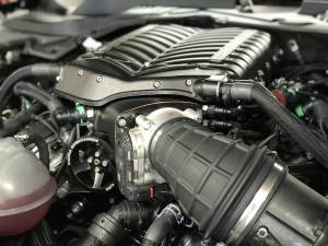 Whipple Superchargers - Ford Mustang 5.0L 3.0L Supercharger Stage 1 Kit 2015-2017