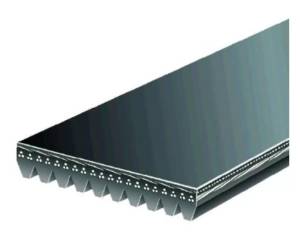 Whipple Superchargers - Whipple 10-Rib Serpentine Belt - 87.8 Inch - WB-100878