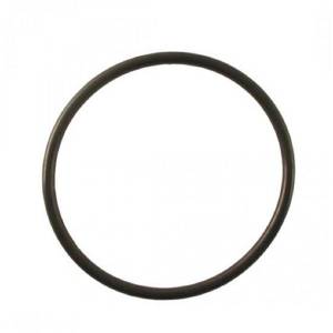 Whipple Superchargers - Whipple Intercooler Core O-Ring