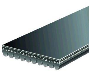 Whipple Superchargers - Whipple 10-Rib Serpentine Belt - 102.5 Inch