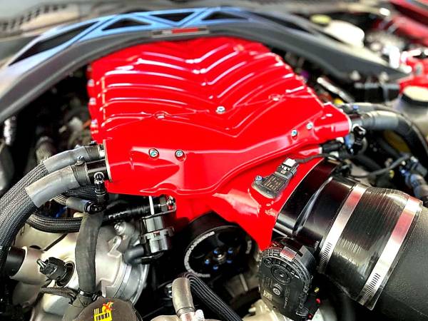 Whipple Superchargers - Whipple Gen 6 3.8L Predator Hot Rod Supercharger Kit - Ford 5.2L Predator (Inverted) (Competition Use Only)